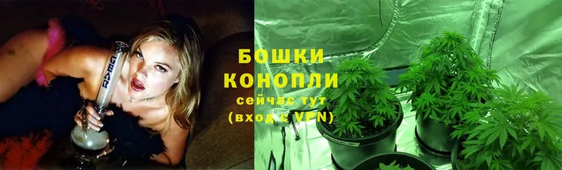 Бошки марихуана SATIVA & INDICA  Мамоново 